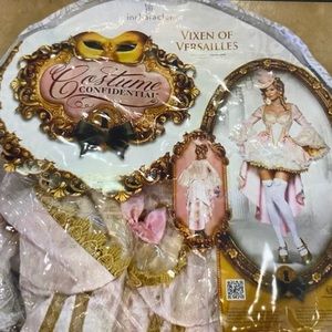 Marie Antoinette costume